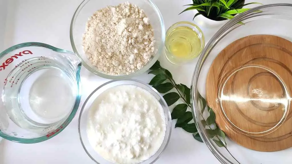 How To Make Crispy Dosa with Instant Dosa Recipe Mix