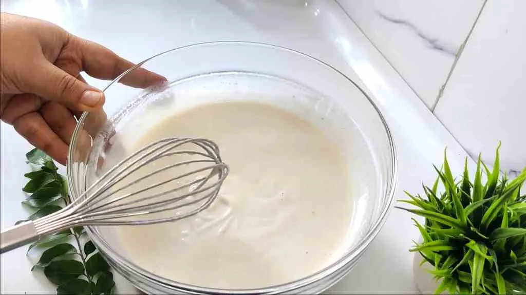 How To Make Crispy Dosa with Instant Dosa Recipe Mix