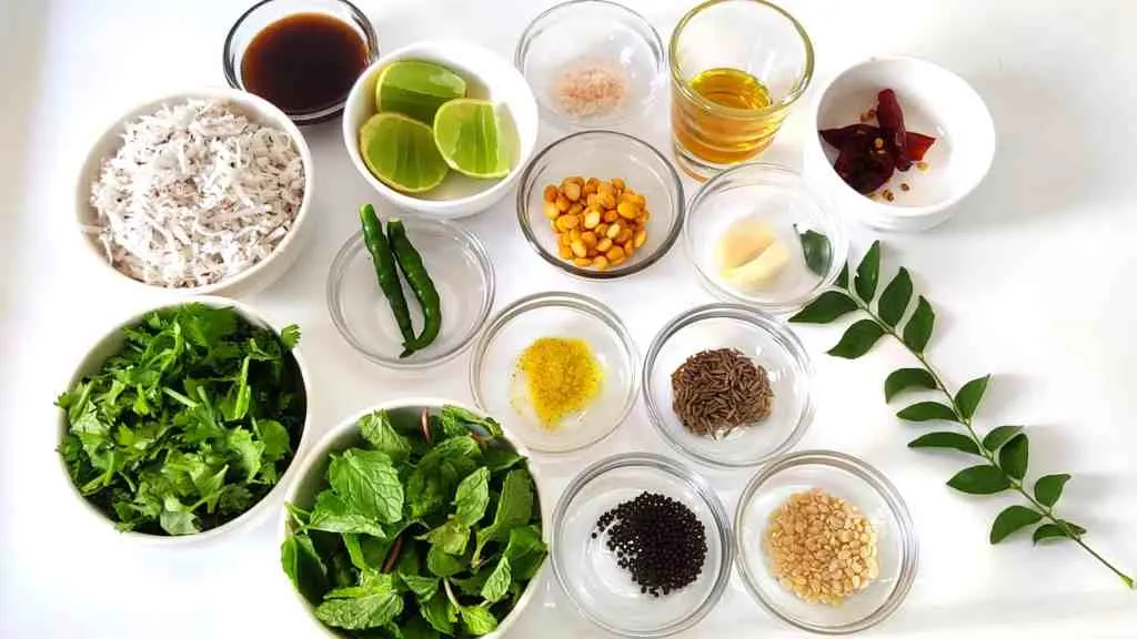 Easy Cilantro and Mint Chutney (Delicious)
