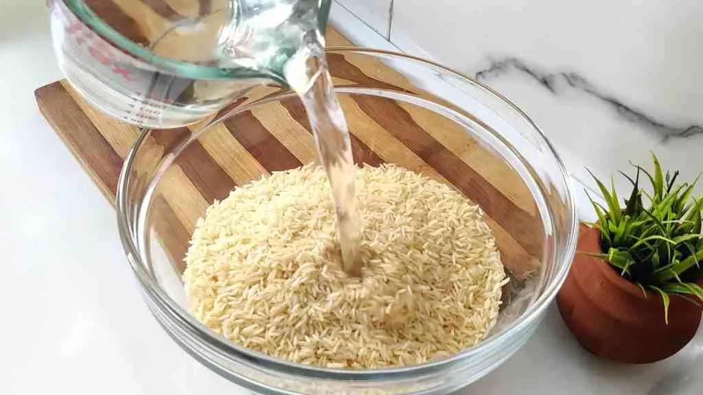 chettinad chicken biryani