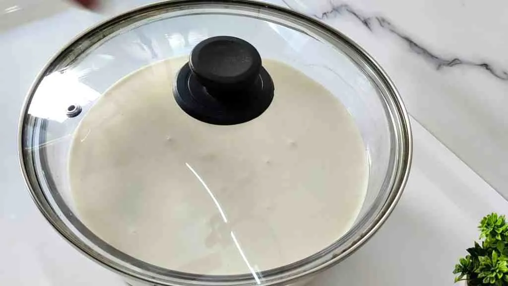 How to Make Idlis in a Pressure Cooker