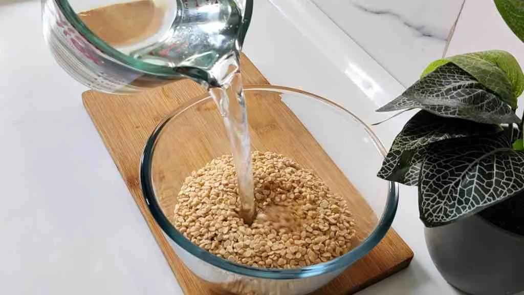 Holi Special Dahi Bhalla Recipe