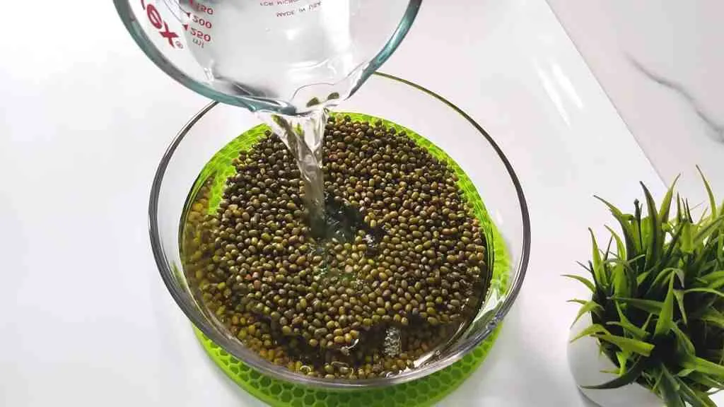 Super Healthy Green Moong Dal Dhokla Recipe