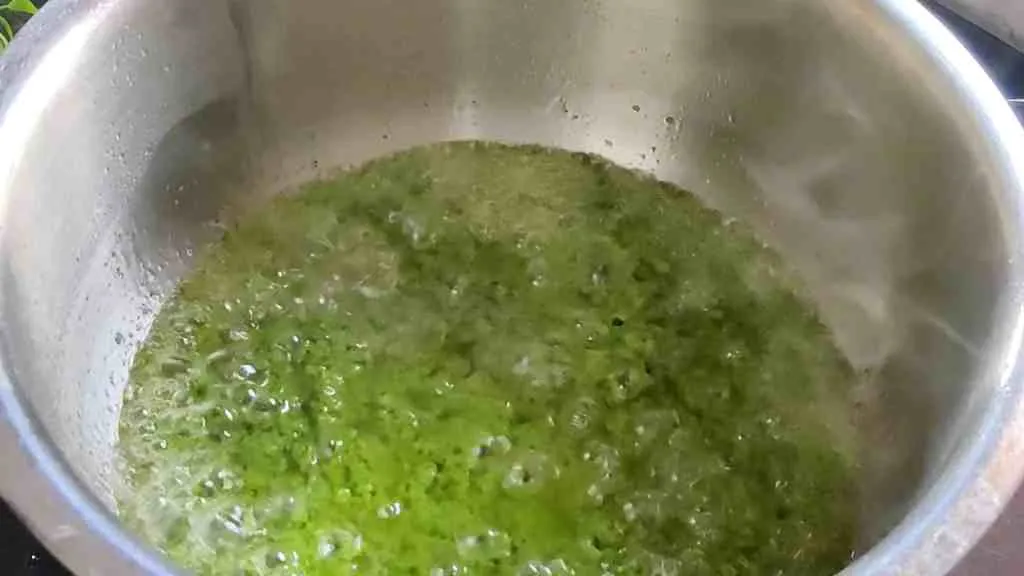 Thalapakattu Biryani