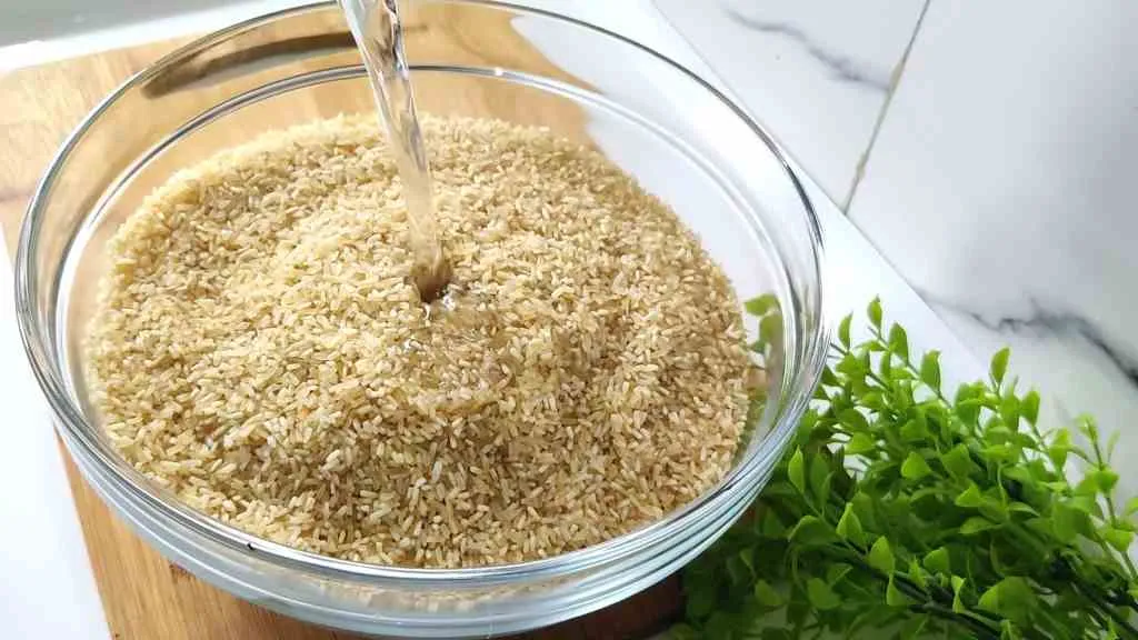 Delicious Ambur Biryani Recipe: Step-by-Step Guide