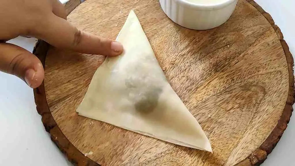Crispy Chicken Wonton Recipe