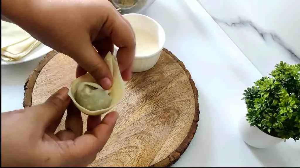 Crispy Chicken Wonton Recipe