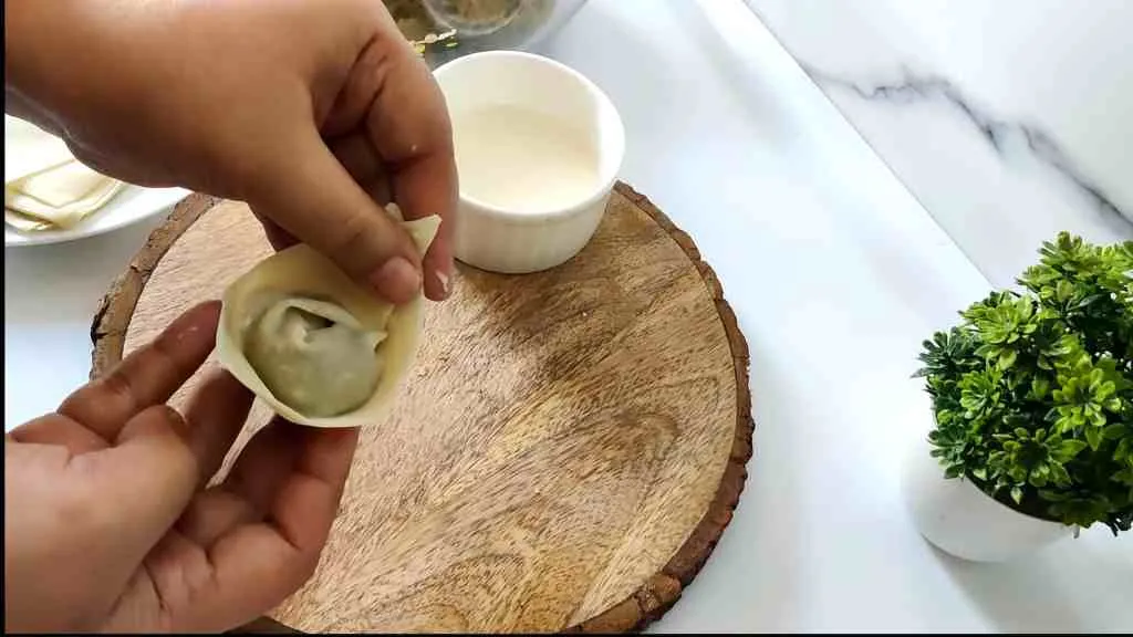 Crispy Chicken Wonton Recipe