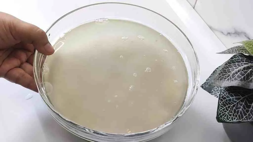 Instant Pot Idli Recipe