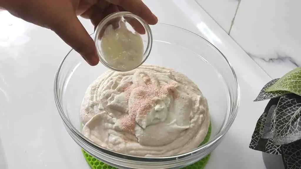 Instant Pot Idli Recipe: The Complete Guide