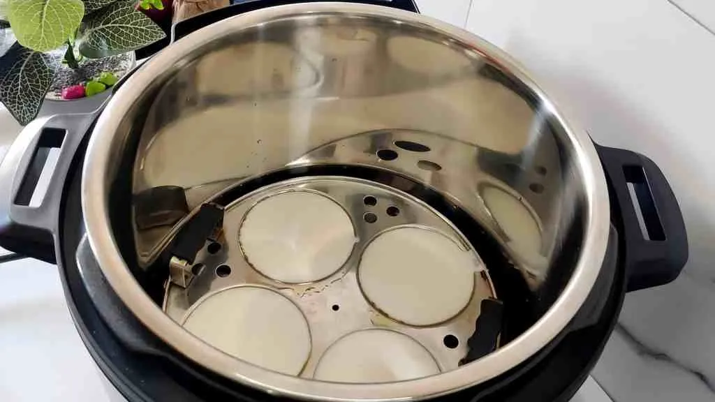 Instant Pot Idli Recipe: The Complete Guide