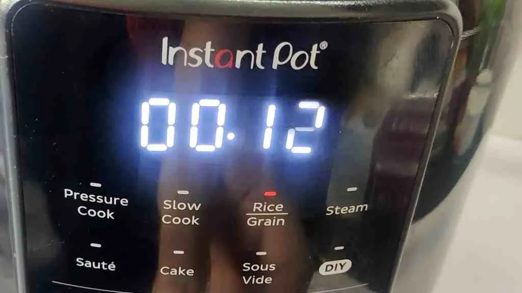 Instant Pot Idli Recipe: The Complete Guide