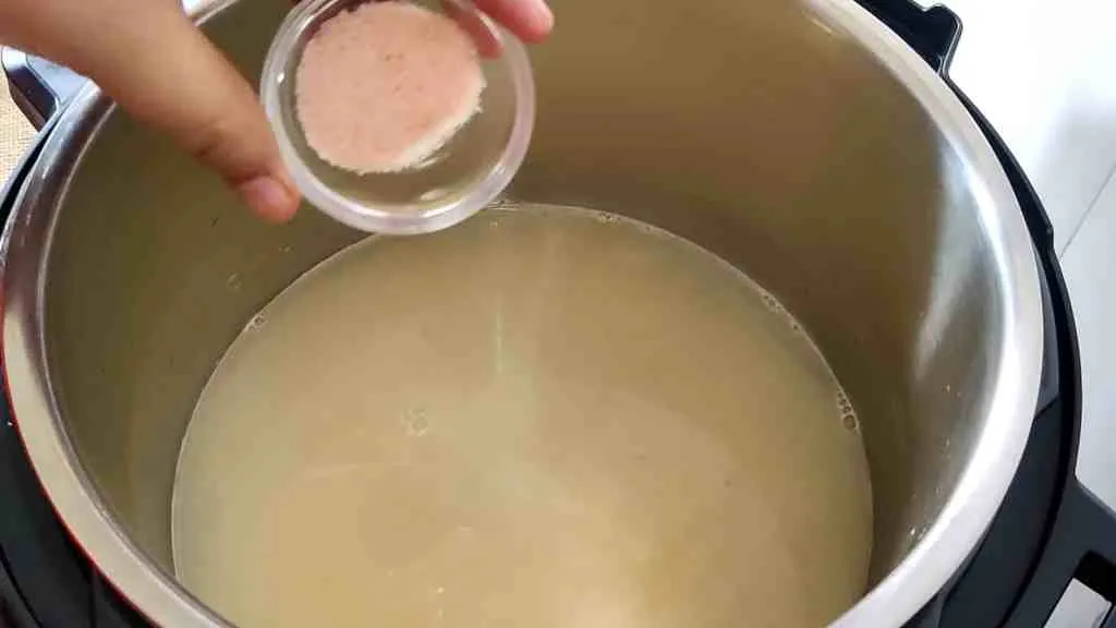Instant Pot Pongal Recipe