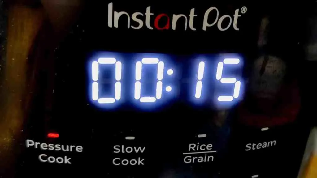 Instant Pot Keema Recipe
