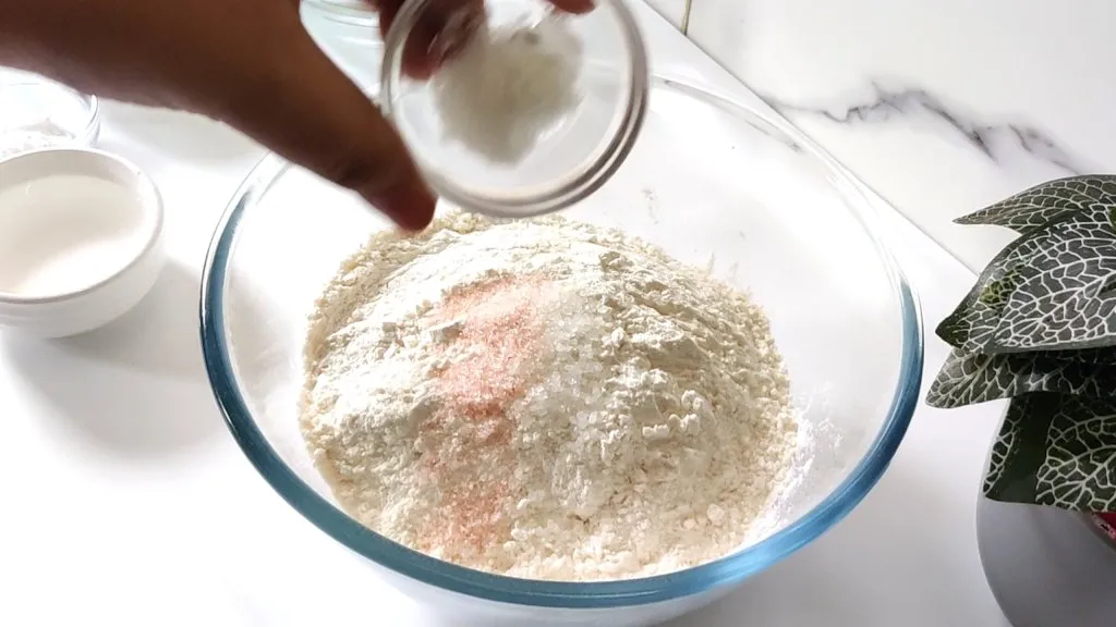 Easy Naan Recipe At Home