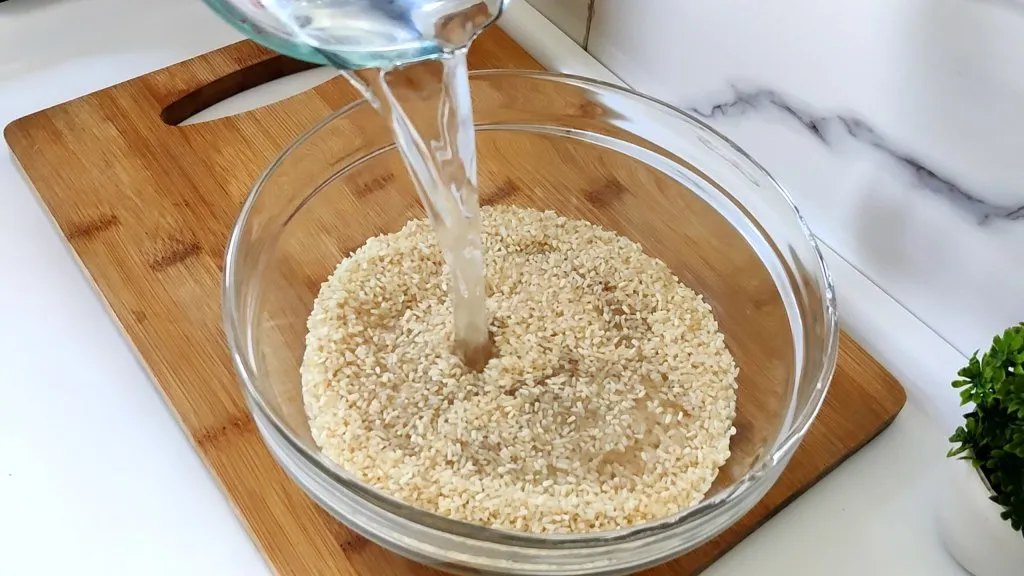 Instant Pot Rice Recipes