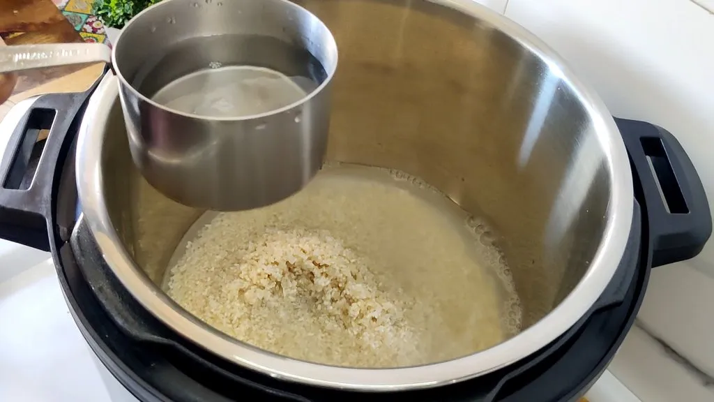 Instant Pot Rice Recipes