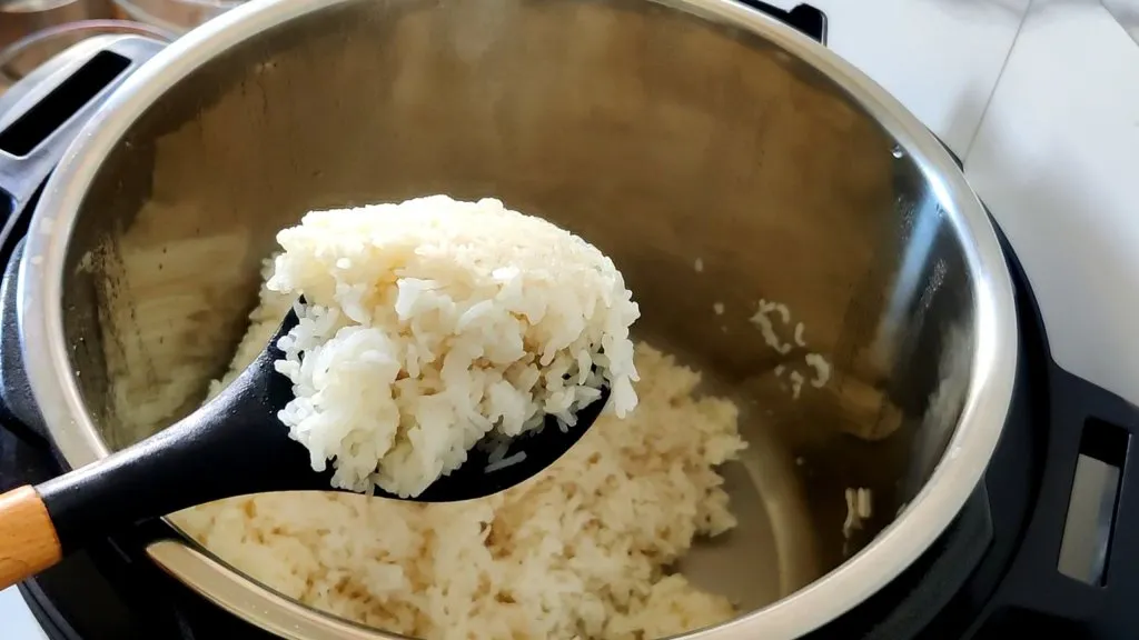 Instant Pot Rice Recipes