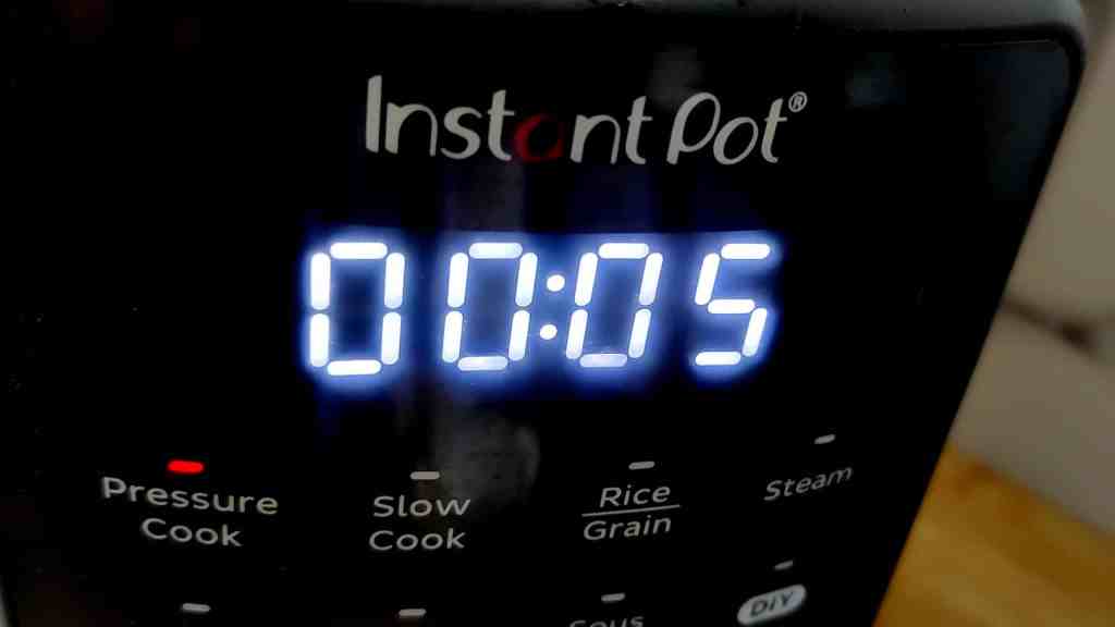  Instant Pot Chicken Biryani